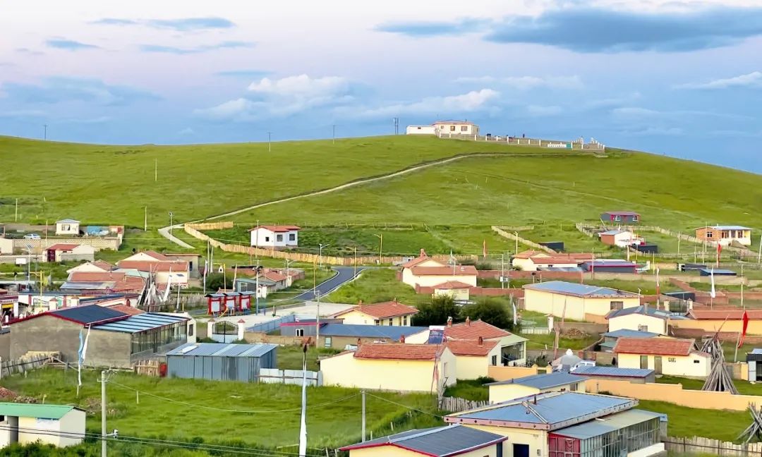 暖心！欧美成人片
收到一封来自雪域高原的感谢信